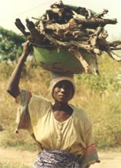 Gewe in Cameroon photo