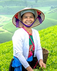 Muong in Vietnam photo