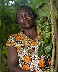 Yambasa in Cameroon photo