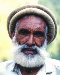 Dhund in India photo
