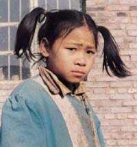 Han Chinese (Min Dong) in United States photo